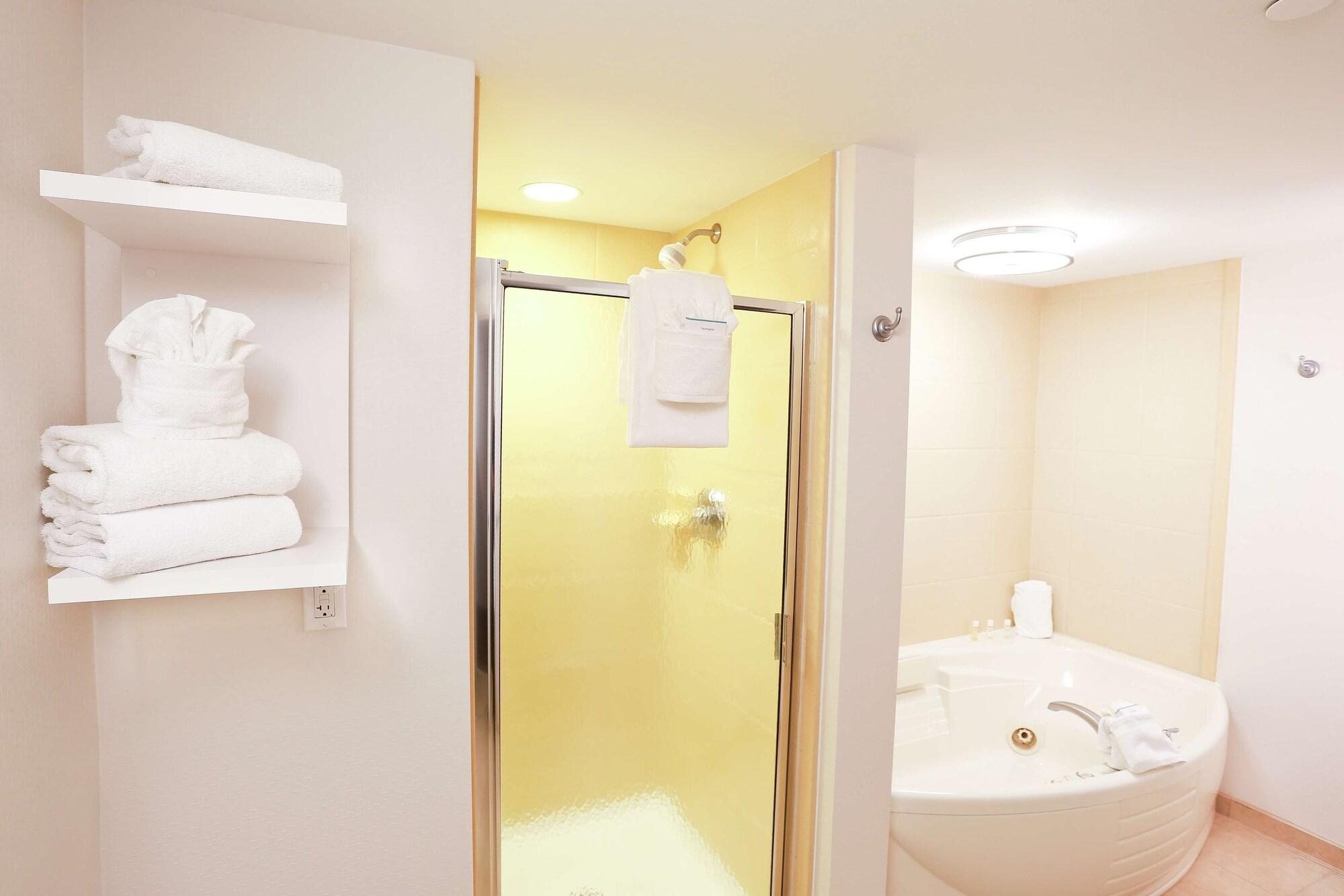 Hampton & Tampa-wesley Chapel Hotel 3*