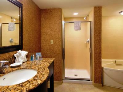 Hampton & Tampa-wesley Chapel Hotel 3*