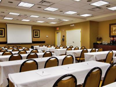 Hampton & Tampa-wesley Chapel Hotel